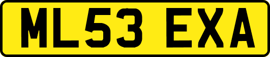 ML53EXA