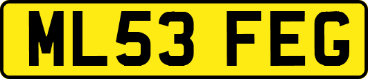 ML53FEG