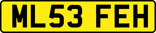 ML53FEH