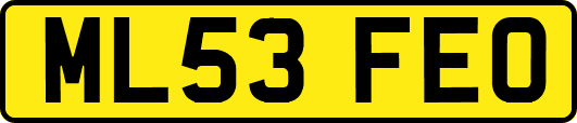 ML53FEO