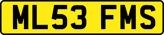 ML53FMS