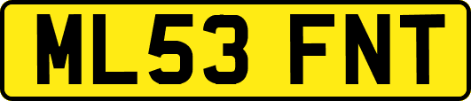 ML53FNT
