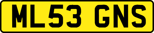 ML53GNS