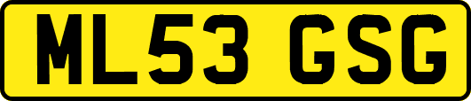 ML53GSG