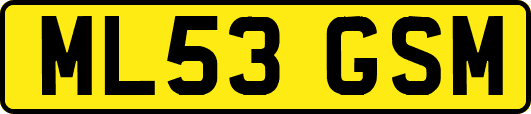 ML53GSM