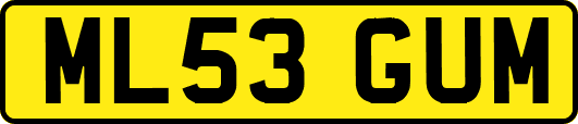 ML53GUM
