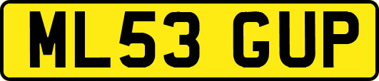 ML53GUP
