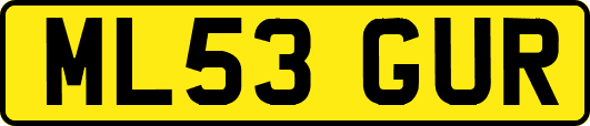 ML53GUR