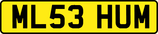 ML53HUM