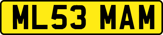 ML53MAM