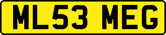 ML53MEG