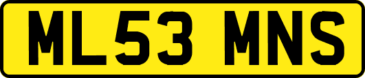 ML53MNS