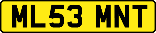 ML53MNT