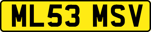 ML53MSV