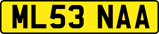 ML53NAA