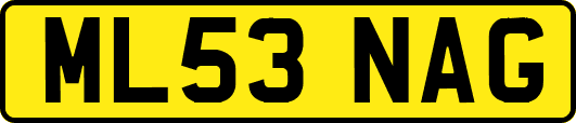 ML53NAG