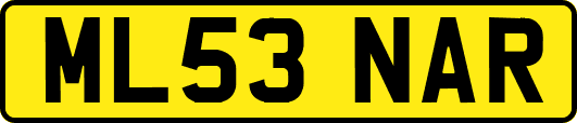 ML53NAR