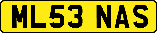 ML53NAS