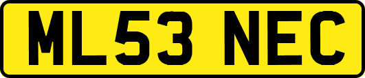 ML53NEC