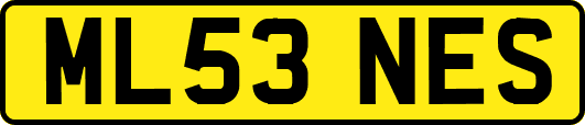 ML53NES