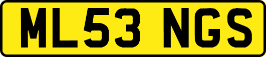 ML53NGS