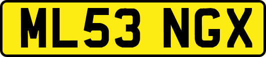 ML53NGX