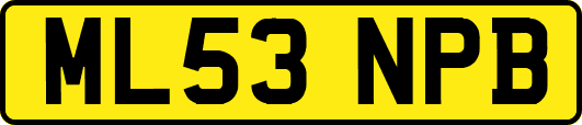ML53NPB
