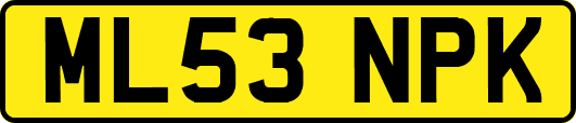 ML53NPK