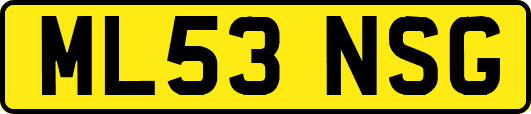 ML53NSG