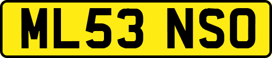 ML53NSO