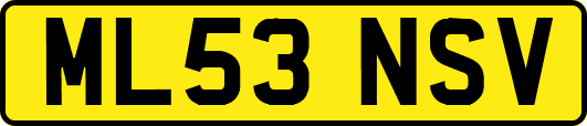 ML53NSV