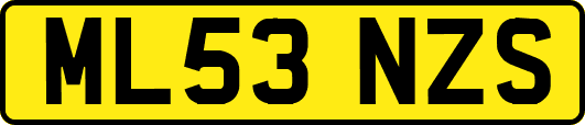 ML53NZS