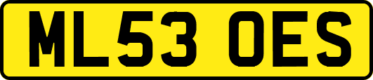 ML53OES