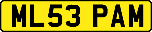 ML53PAM