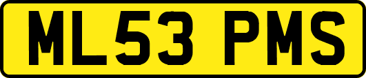ML53PMS