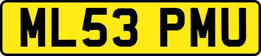 ML53PMU