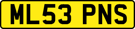 ML53PNS