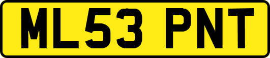 ML53PNT