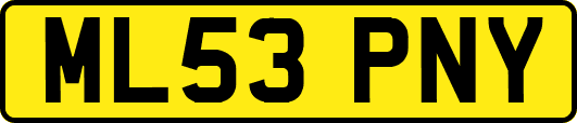 ML53PNY