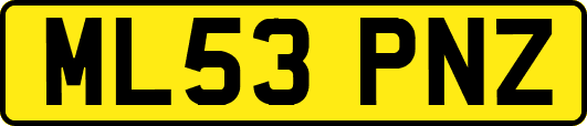 ML53PNZ