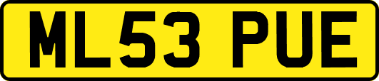 ML53PUE