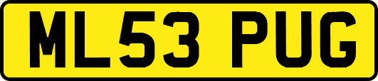 ML53PUG