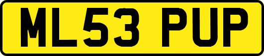 ML53PUP