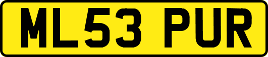 ML53PUR