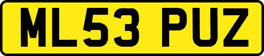 ML53PUZ