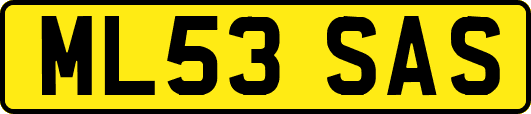 ML53SAS