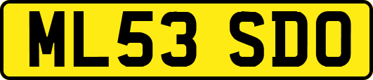 ML53SDO