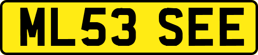 ML53SEE