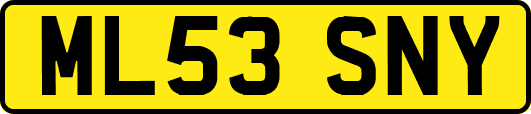 ML53SNY