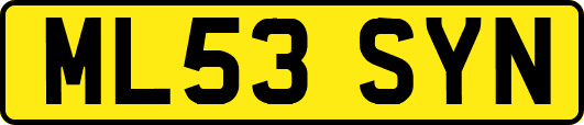 ML53SYN